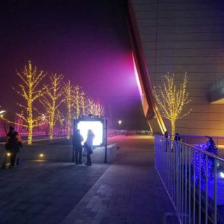 樂多港美陳案例